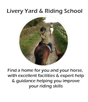 Livery Yard Riding School